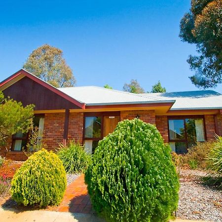 Perricoota Vines Retreat Hotell Moama Exteriör bild