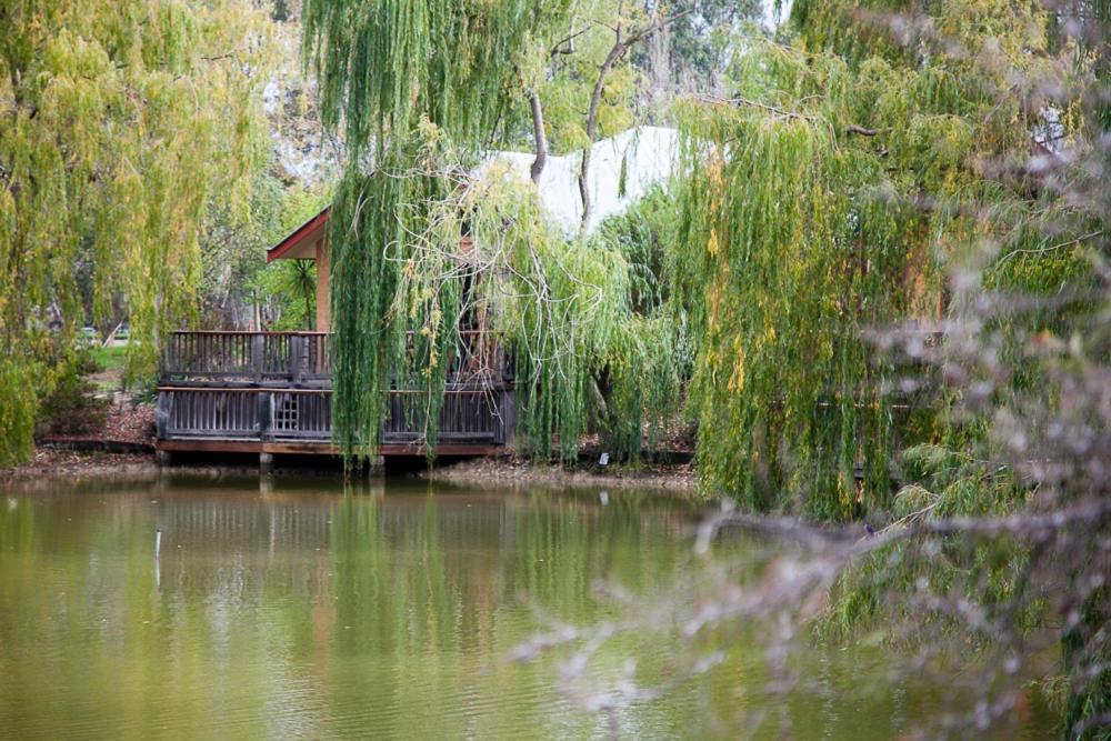 Perricoota Vines Retreat Hotell Moama Rum bild
