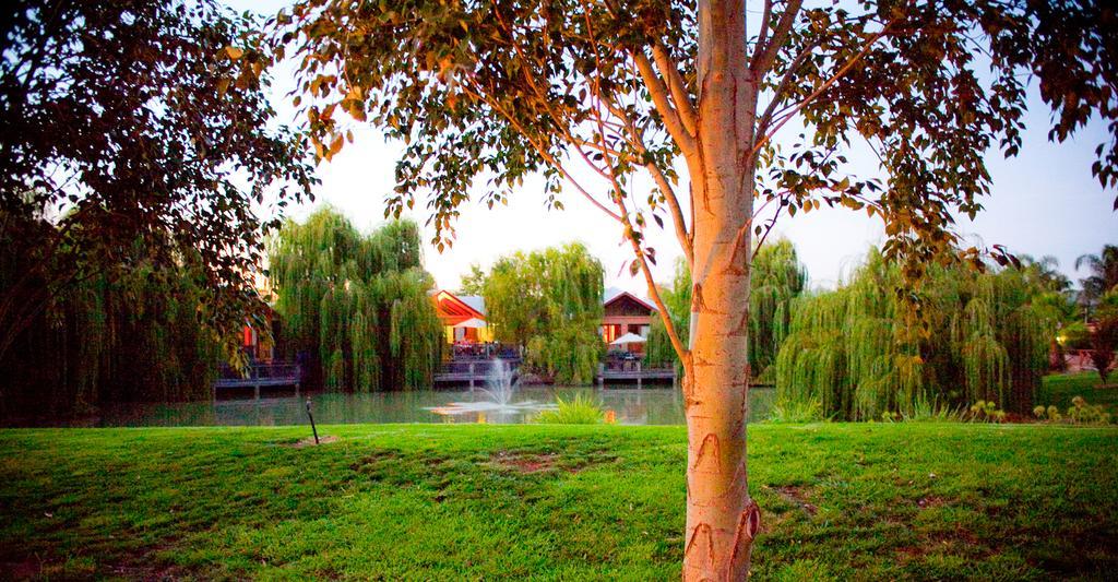 Perricoota Vines Retreat Hotell Moama Exteriör bild
