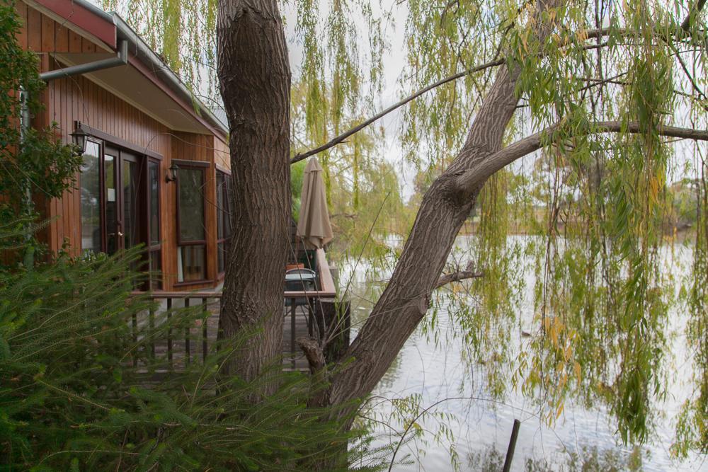 Perricoota Vines Retreat Hotell Moama Rum bild