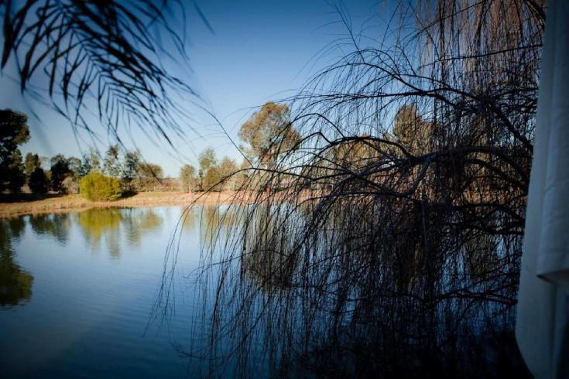Perricoota Vines Retreat Hotell Moama Exteriör bild