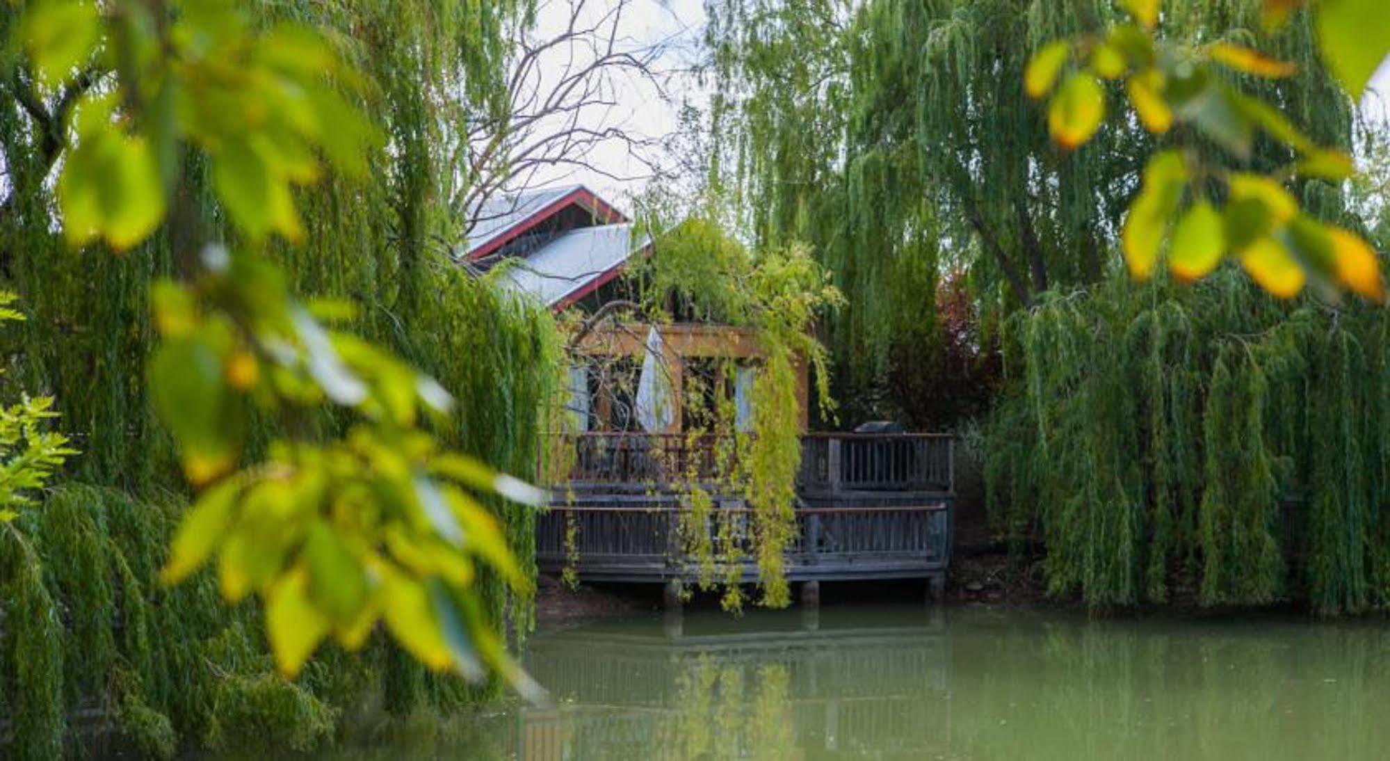 Perricoota Vines Retreat Hotell Moama Exteriör bild