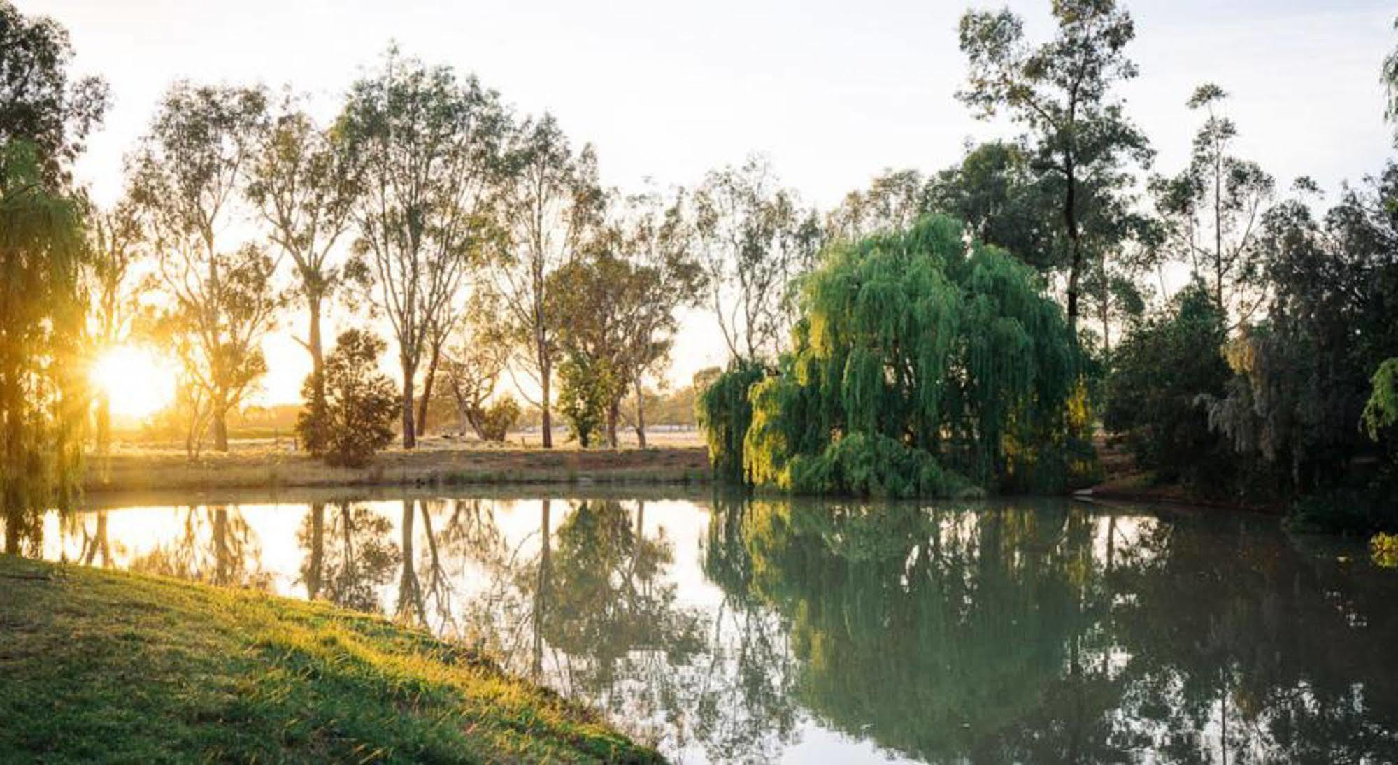 Perricoota Vines Retreat Hotell Moama Exteriör bild